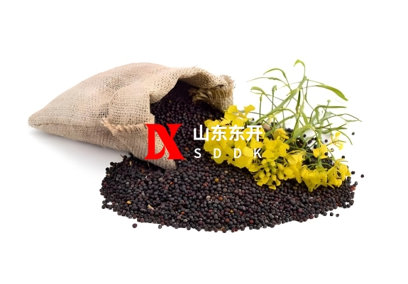 6252f791-224e-4505-9acc-9d3ffb3ca71a