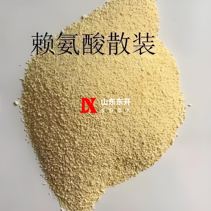 Lysine pneumatic conveying